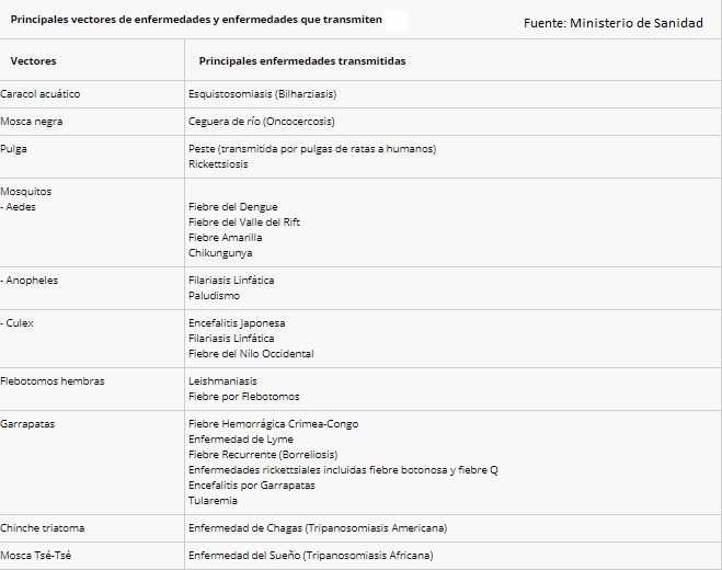 vectoressanidad1.jpg